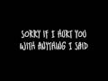 NICK BLACK - SORRY with lyrics 