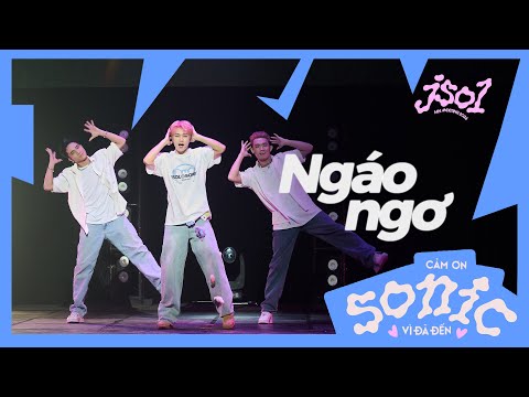 JSOL - Ngáo Ngơ