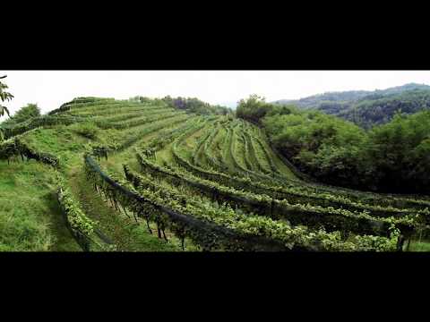 Fantinel - Feel The Emotion - Prosecco - The Excellence ( English )