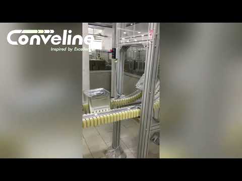 Flexible Chain Conveyor