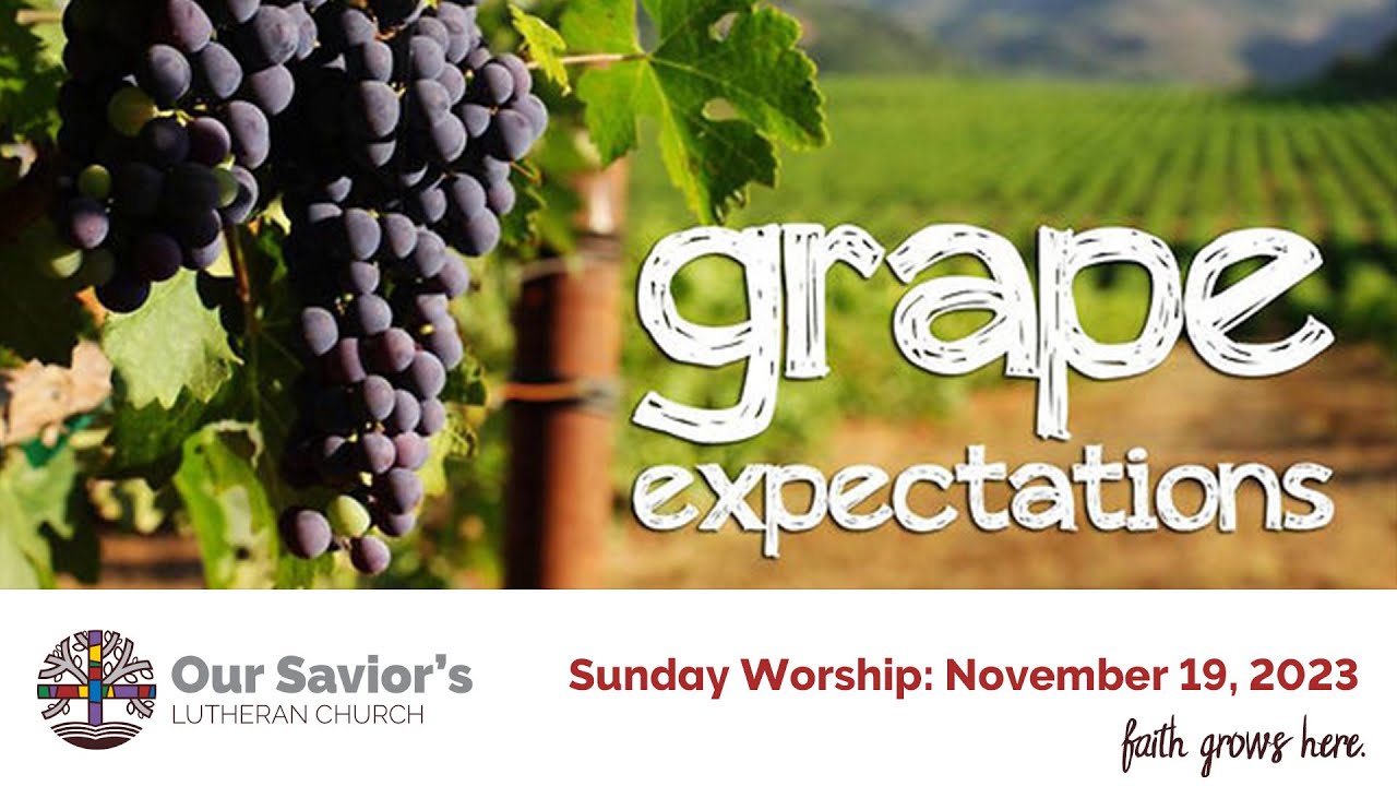 Sunday Worship Service at Our Savior's Lutheran Church Faribault, MN: November 19, 2023