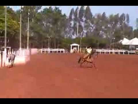 Rodeio Terra Rica - 4ª armada
