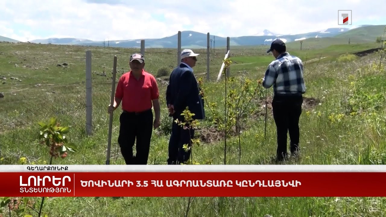 Ծովինարի ագրոանտառը հանձնվեց Մարտունի համայնքին. այն ընդլայնելու ծրագիր կա