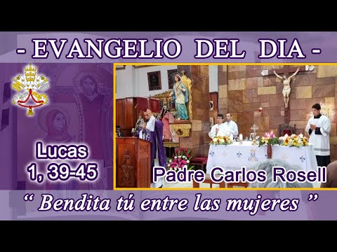 Evangelio 22/12/24 - Lucas 1, 39-45 - La Visitación. P. Carlos Rosell.