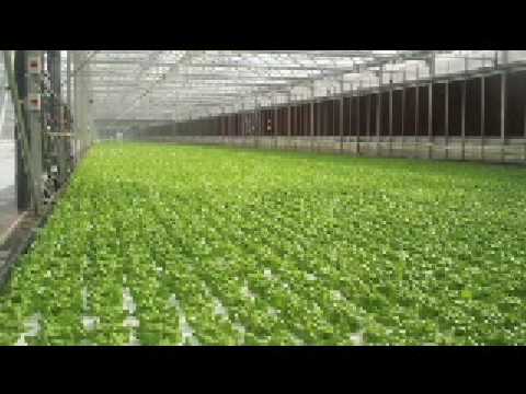 AndNowUKnow.com - Shop Talk - Tanimura & Antle