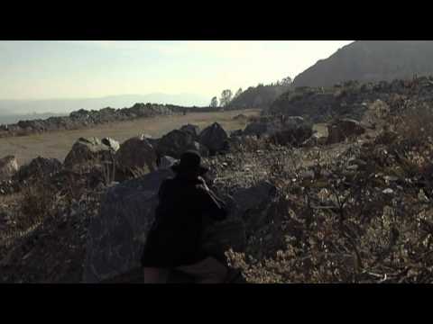 Video $Living by the Gun