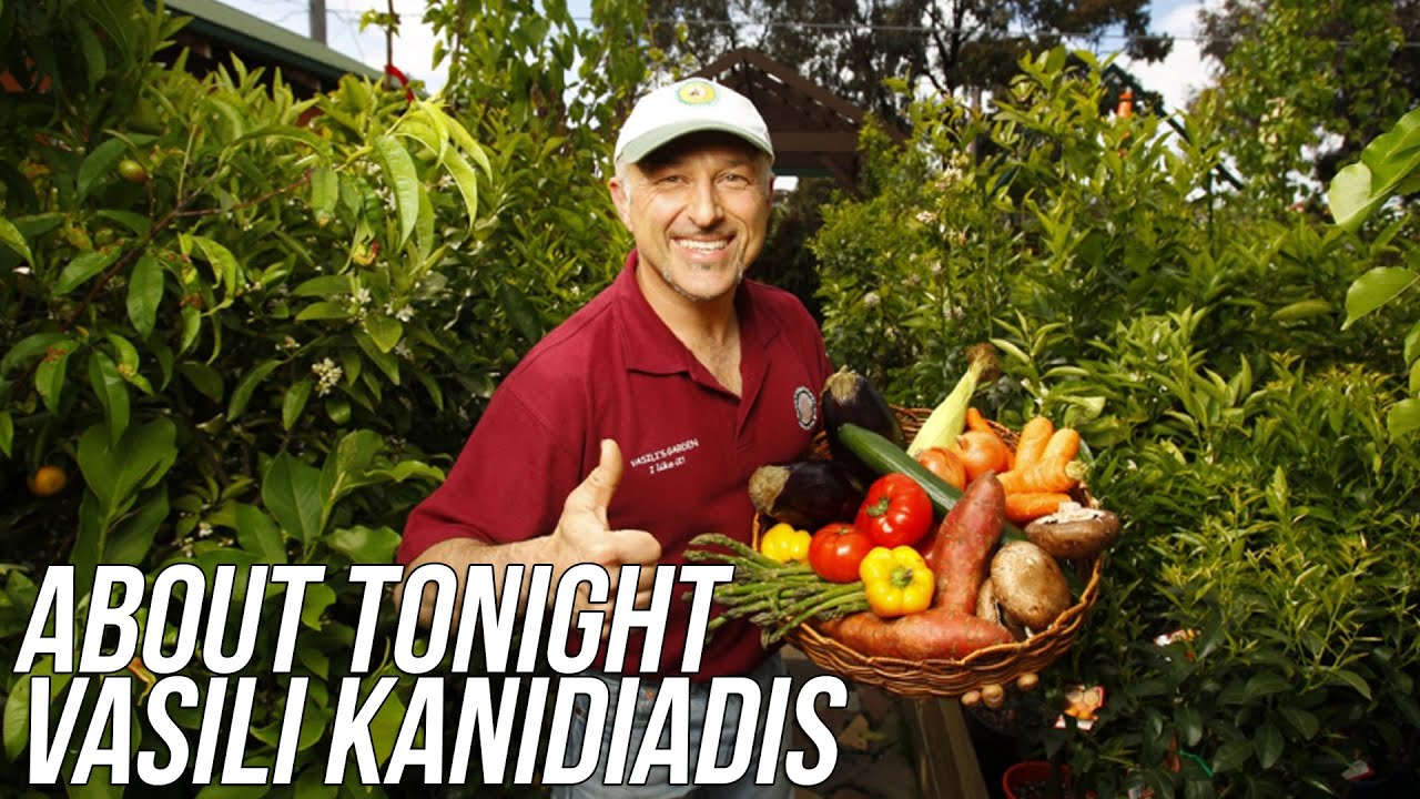VASILI KANIDIADIS INTERVIEW - ABOUT TONIGHT (11/5/15)