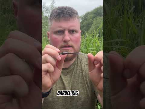 My barbel set up #barbel #fishing #carpfish #carpy #fish #river #freshwaterfish #barbelfishing