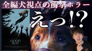 新作映画『GOOD BOY グッドボーイ』ネタバレあり/なしレビュー！【ジャガモンド斉藤のヨケイなお世話】