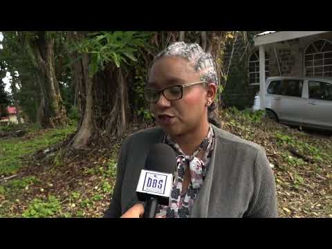 NALIP EXPANDS AWARDS TO HONOR MUSEUM AND ARCHIVE PROFESSIONALS, CALLS FOR NOMINATIONS.