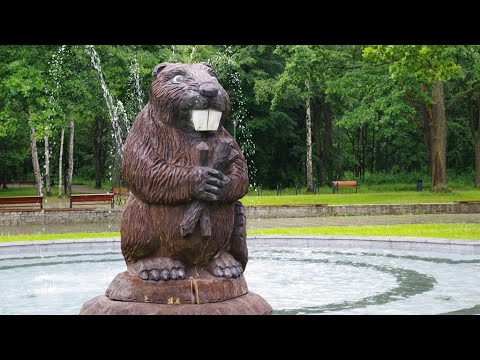Park Zielona w Dąbrowie Górniczej
