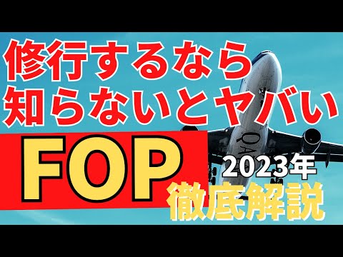 [JGC Training JAL] You know about FLY ON points, right?