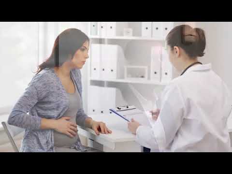 Brain Development During Pregnancy