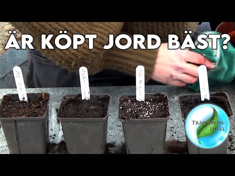 Testar olika sorters såjord