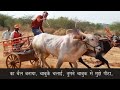 Best Motivational Video Cow Video Best Motivational Speech