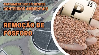 PHOSPHORUS REMOVAL IN EFFLUENTS
