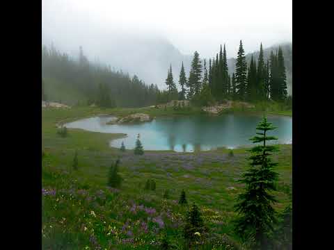 [FREE] yung lean x cloud rap x teamsesh type beat - "dreams"