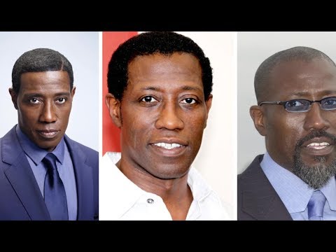 Wesley Snipes: Short Biography, Net Worth & Career Highlights