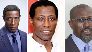 Wesley Snipes: Short Biography, Net Worth & Career Highlights