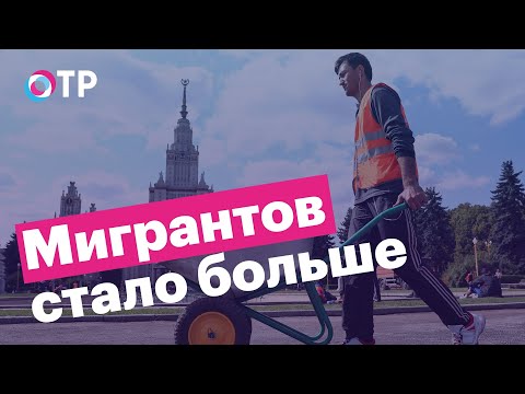 Россия — вторая в Европе по числу мигрантов