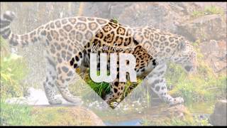 Dennis Brown - My My (1992)