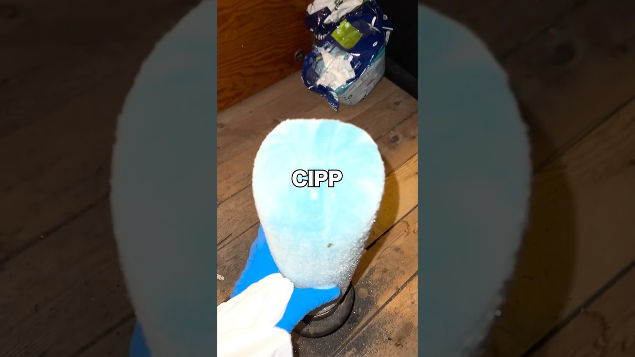 CIPP。#都市伝説 #オカルト #ミステリー