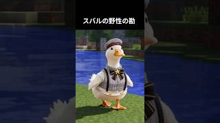 実写版大空スバル その十三 #大空スバル #oozorasubaru #aianimation