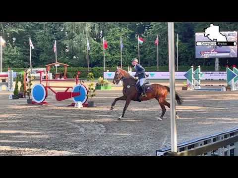 DSP CORBAIN - 13j. Wallach von / 13yo gelding by Con Sherry - Quaterman