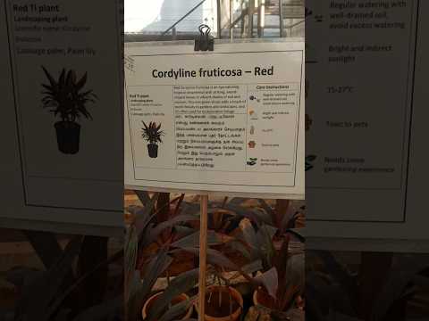 #motivation #lifequotes #quotes #gardening #naturelovers