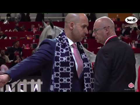 N 33 AJ KAYYA   World Arabian Horse Championship 2022   PARIS   Junior Fillies Section A Class 2A