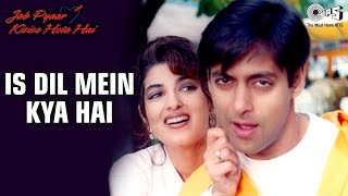 Is Dil Mein Kya Hai Dhadkan Lyrics - Jab Pyar Kisi Se Hota Hai