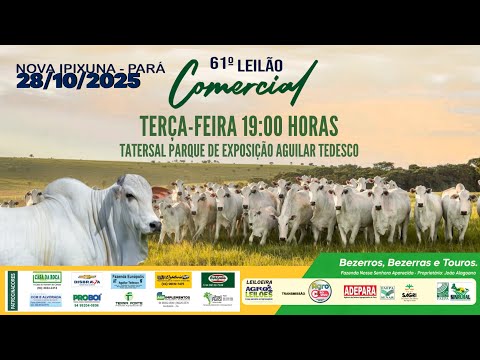 ✅61º LEILÃO COMERCIAL - NOVA IPIXUNA / PA