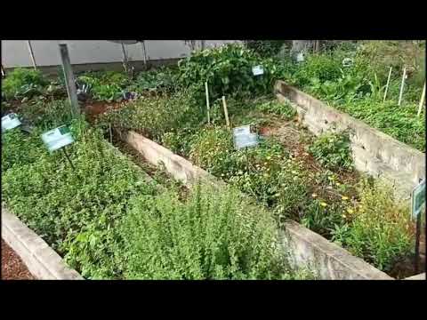 PROJETO SAÚDE VISTA GAÚCHA