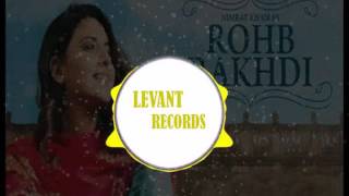 Rohab Rakhdi / baas boosted