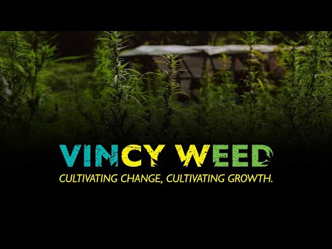 VINCY WEED MOVIE TRAILER