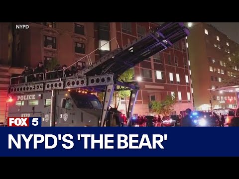 NYPD's 'the bear'