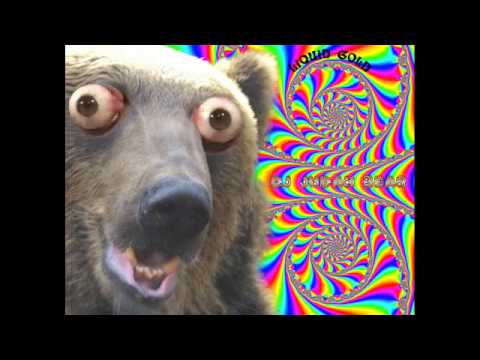 DJ JUDAH BEAR - Liquid Gold (Psytrance mix)