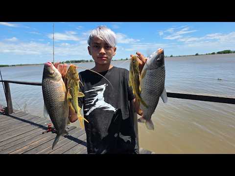 CAMPING MIGUEL - IBICUY ENTRE RIOS 