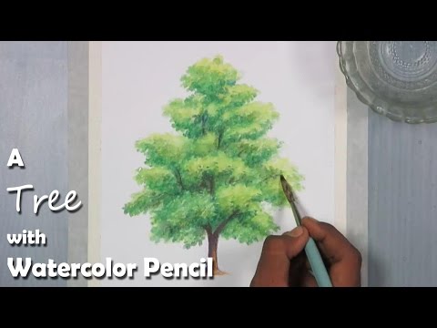 Mountains and Pine Tress Watercolor Pencil Landscape Drawing | steps to follow
