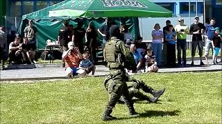 Ukázka bojového umění - Musado - Králíky 27.05.2017 - Demonstration of Musado martial art Ukázka bojového umění - Musado - Králíky 27.05.2017 - Demonstration of Musado martial art