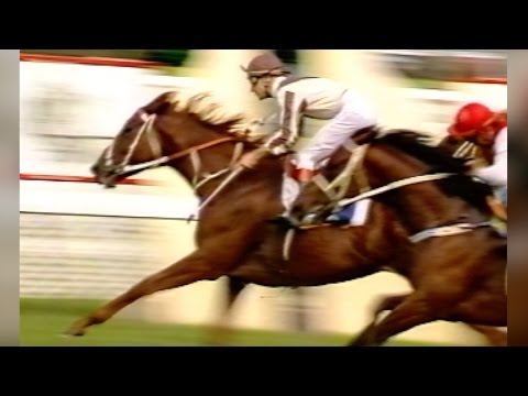 Bonecrusher - AJC Derby 1986 Group 1