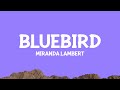 @mirandalambert - Bluebird (Lyrics)
