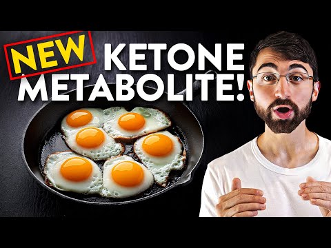 Are BHB-Amino Acids the Missing Link to Keto Weight Loss?
