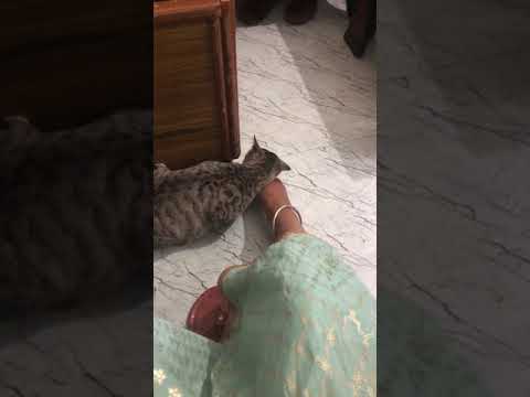 She luv my Riyaz everyday ❤️🙏🏻