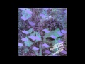 Lech Janerka - Konstytucje 
