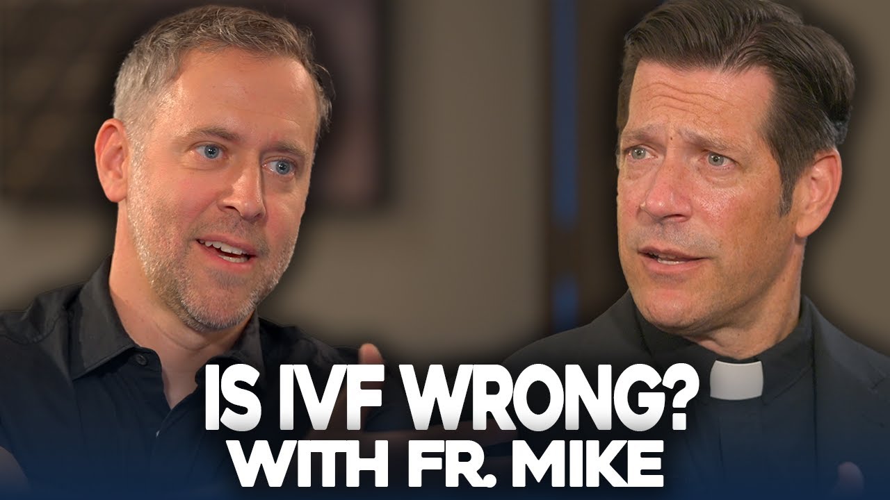 IVF? What is the problem? | Fr. Mike Schmitz