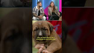 Brady Oliveira and Alex Blumberg chat new CBC series 'Must Love Dogs' ???????? | #CBCSports