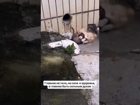 #психология#психовнет#взаимнаяподписка