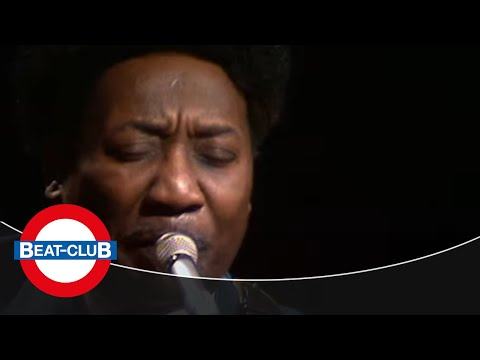 Thumbnail for Muddy Waters - Blow Wind Blow (1970)