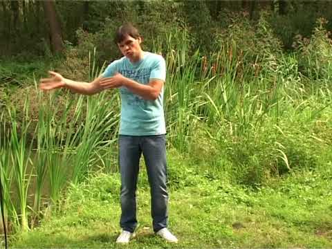 Zlatko Nedeljko Pepsi - Miška so hmrli